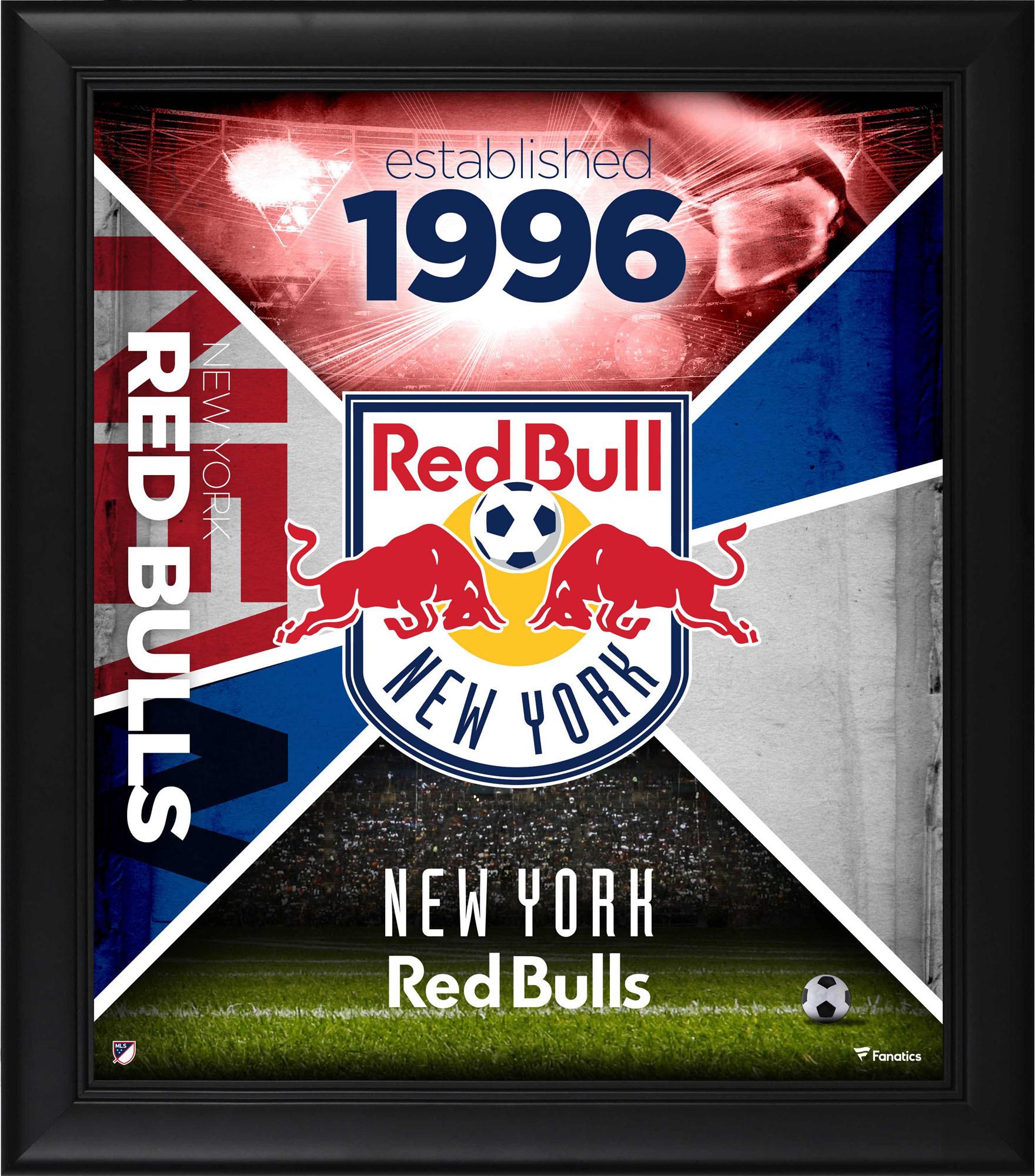 New York Red Bulls Framed 15