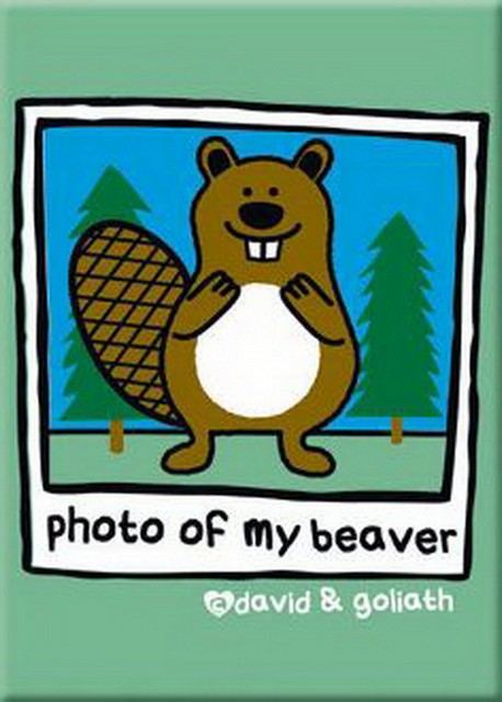 David and Goliath Beaver Photo Magnet 29803DG