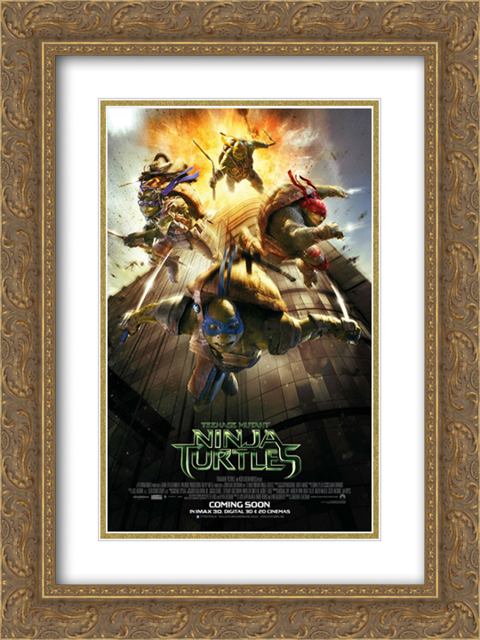 Teenage Mutant Ninja Turtles 20x24 Double Matted Gold Ornate Framed Movie Poster Art Print