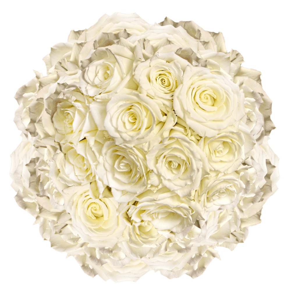 GlobalRose 200 Fresh Cut White Roses - Escimo Roses - Fresh Flowers Wholesale Express Delivery