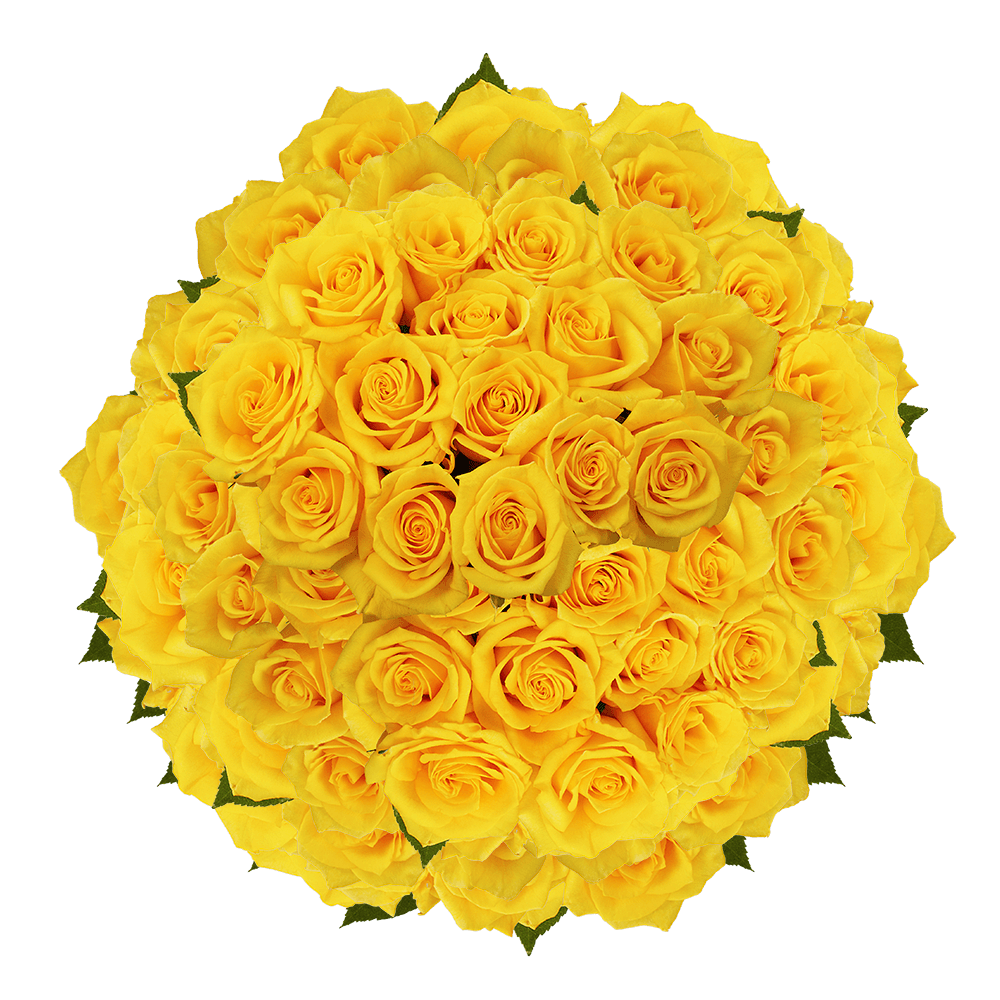 GlobalRose 200 Fresh Cut Golden Yellow Roses - Gold Star Roses - Fresh Flowers Wholesale Express Delivery