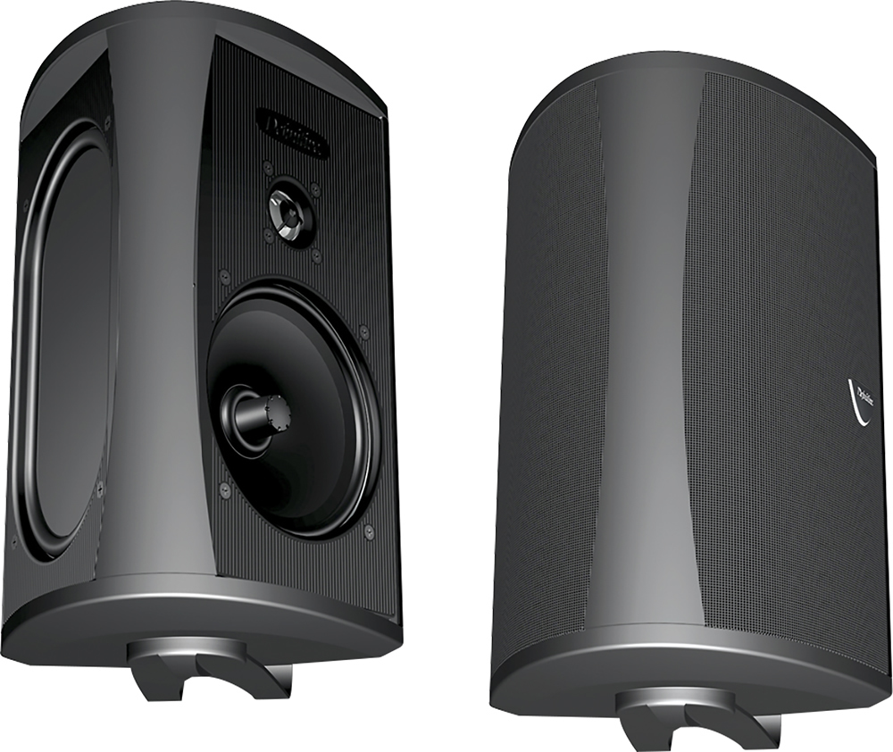 Definitive Technology - AW5500 All-Weather Single Speaker - Black