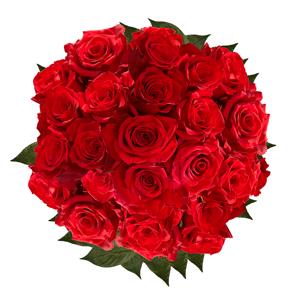 GlobalRose 125 Red Premium Roses - Freedom Roses - 24-28 Inches Long Stem - Fresh Flowers For Birthdays, Weddings or Anniversary.