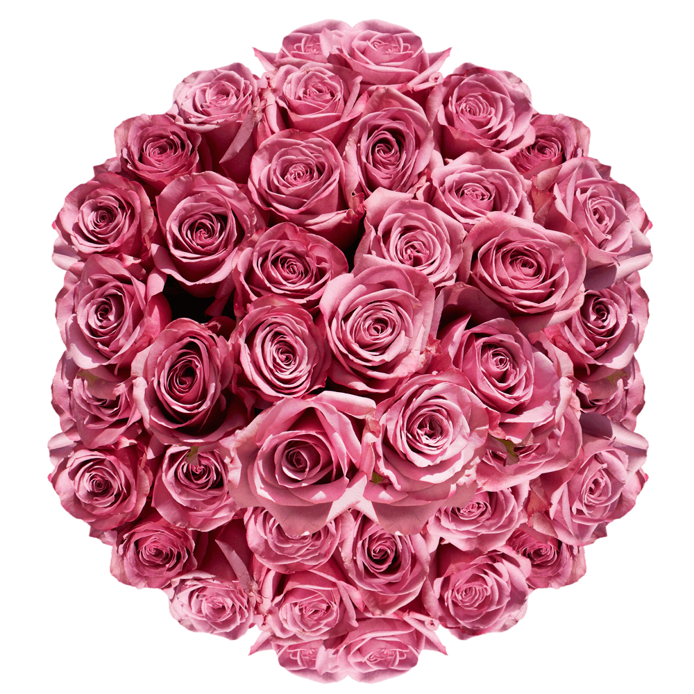 GlobalRose 100 Fresh Cut Lavender Roses - Cool Water Roses - Fresh Flowers For Birthdays, Weddings or Anniversary.