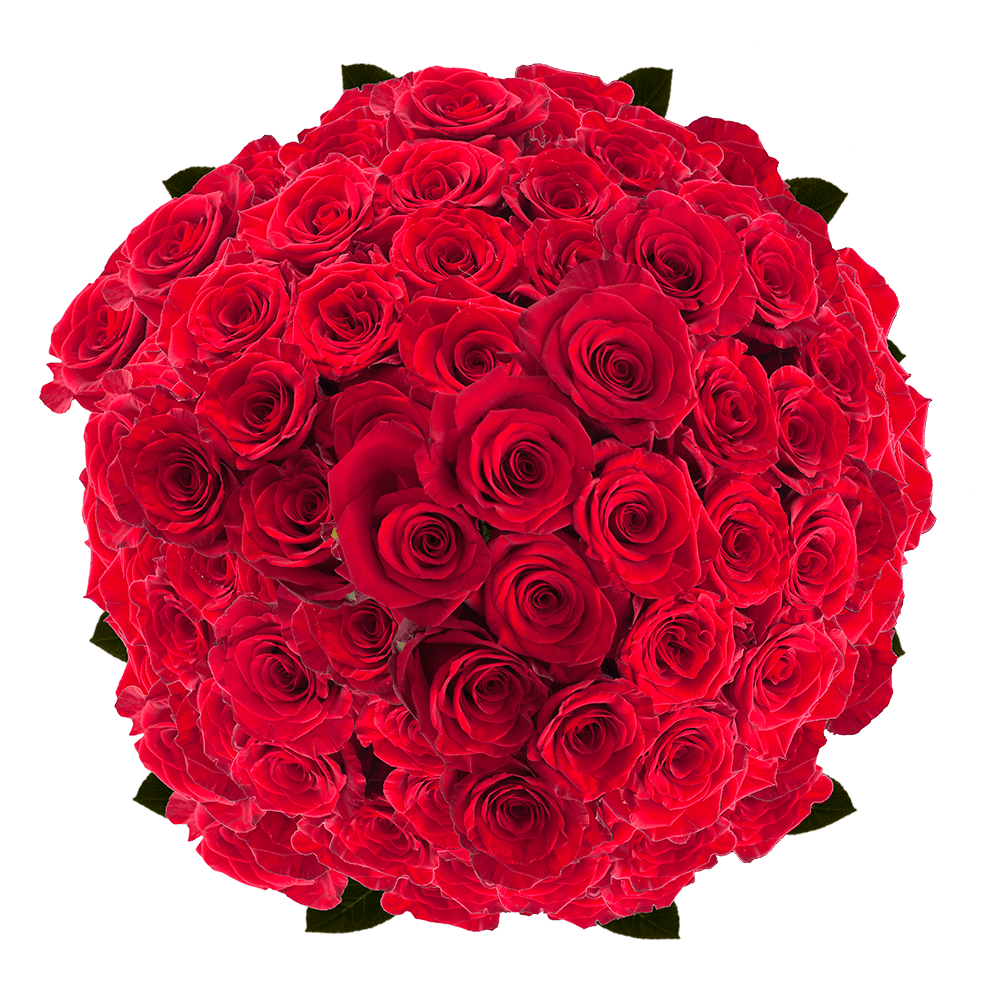 GlobalRose 200 Fresh Cut Deep Red Roses - Madame Delbard Roses - Fresh Flowers Wholesale Express Delivery