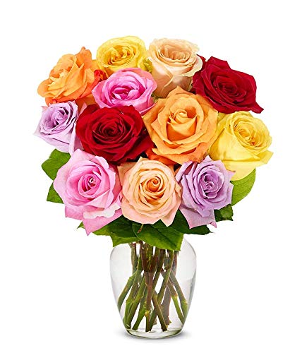 Flowers - One Dozen Rainbow Roses (Free Vase Included)