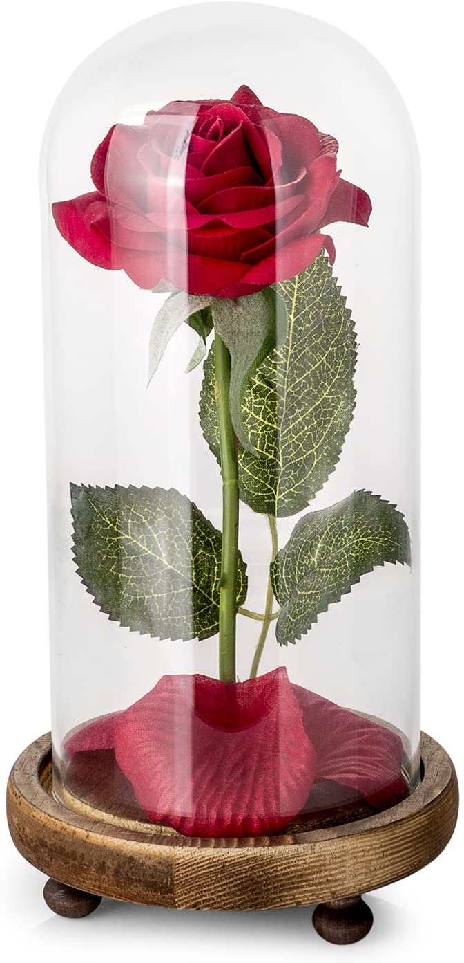Beauty and The Beast Rose Kit
