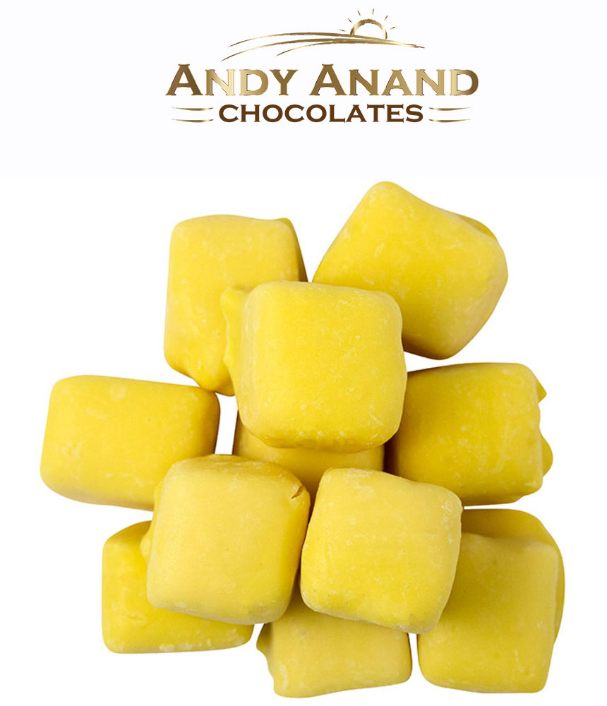 Andy Anand Belgian Lemon Cream coated Coconut Bar Gift Box & Greeting Card Anniversary Wedding, Gourmet Gift Get Well