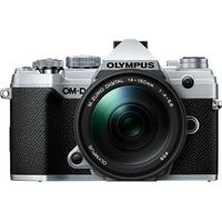 Olympus - OM-D E-M5 Mark III Mirrorless Camera with 14-150mm Lens - Silver