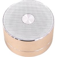 Tochtech - Tochie Personal Voice Reminder - Gold