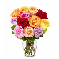 Flowers - One Dozen Rainbow Roses (Free Vase Included)