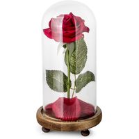 Beauty and The Beast Rose Kit