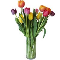 Stargazer Barn - Happy Bouquet - With Vase