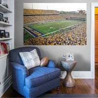 Fathead West Virginia Mountaineers: Milan Puskar Stadium Corner View Mural - Huge Officially Licensed Removable Wall Graphic