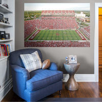 Fathead Oklahoma Sooners: Gaylord Family Oklahoma Memorial Stadium Mural - Huge Officially Licensed Removable Wall Graphic