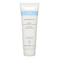 REN Skincare Gentle Exfoliating Cleanser - 3.3 Oz