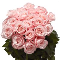 GlobalRose 50 Fresh Cut Pink Roses for Mother's Day - Fresh Flowers Express Delivery - Perfect for Mother's Day Gift
