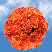 GlobalRose 150 Fresh Cut Orange Roses for Valentine's Day - Impulse Roses - Fresh Flowers Express Delivery - Perfect for Valentine's Day
