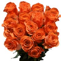 GlobalRose Long Stem Dark Orange Roses - 75 Orange Roses Long