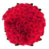 GlobalRose 200 Fresh Cut Deep Red Roses - Madame Delbard Roses - Fresh Flowers Wholesale Express Delivery