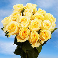 GlobalRose 150 Fresh Cut Cream Color Roses Long Stem - CrÃ¨me de la CrÃ¨me Roses - Fresh Flowers Wholesale Express Delivery