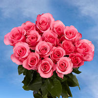 GlobalRose 50 Pink Valentine's Day Roses