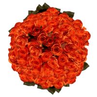 GlobalRose 200 Fresh Cut Orange Roses for Mother's Day - Impulse Roses - Fresh Flowers Wholesale Express Delivery - The Perfect Mother's Day Gift
