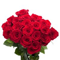GlobalRose 50 Red Roses - Beautiful Fresh Flowers