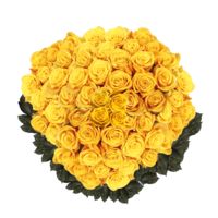 GlobalRose 150 Fresh Cut Dark Yellow Roses Long Stem - Conga Roses Fresh Flowers Wholesale Express Delivery