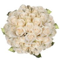 GlobalRose 150 Fresh Cut Ivory White Roses - Vendela Roses - Fresh Flowers Wholesale Express Delivery