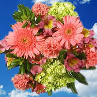 GlobalRose 14 Fresh Cut Flowers Bouquet - Lovely Arrangements - Fresh Flowers For Birthdays, Weddings or Anniversary.