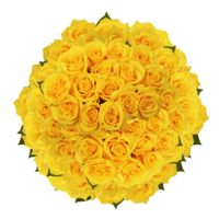 GlobalRose 200 Fresh Cut Golden Yellow Roses - Gold Star Roses - Fresh Flowers Wholesale Express Delivery