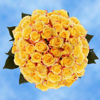 GlobalRose 200 Fresh Cut Bright Yellow Roses - Long Stem - Fresh Flowers Wholesale Express Delivery