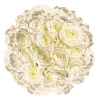 GlobalRose 200 Fresh Cut White Roses - Escimo Roses - Fresh Flowers Wholesale Express Delivery